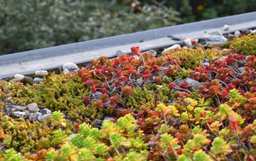 the cost of Airth green roof installation