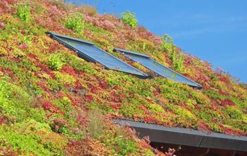 Airth living roof systems