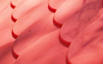 Airth plastic roof costs