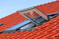 Airth roof window